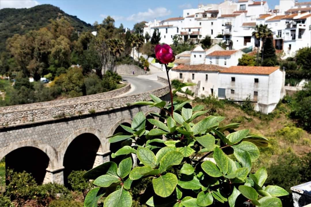 Ferienwohnung Casa Rural Sierras De Gaucín Exterior foto