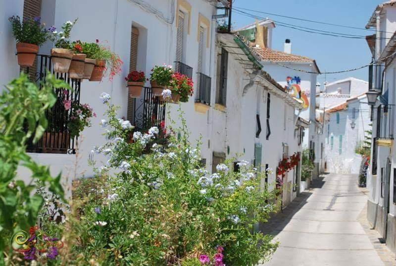 Casa Rural Sierras De Gaucín Exterior foto